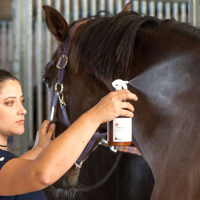 anti mouche cheval.jpg